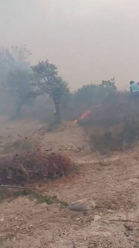 Hatay alev alev: Yangın evlere ulaştı 12